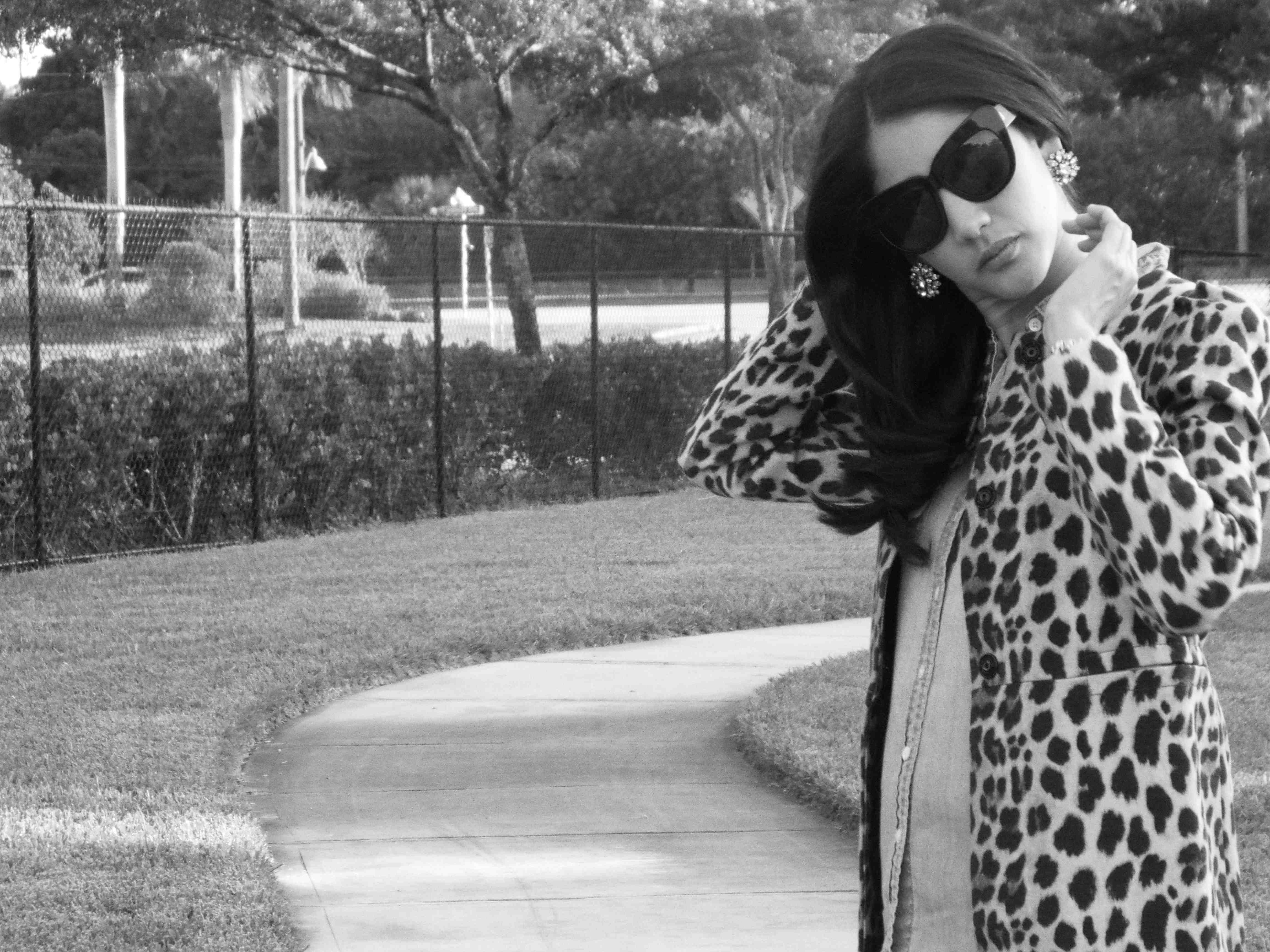 All About Leopard – Maria On Point